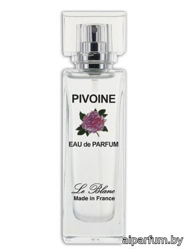 Pivoine