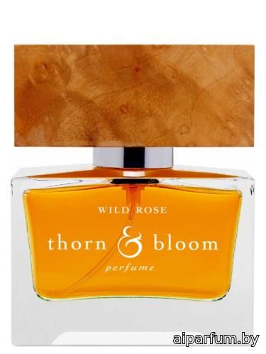 Wild Rose