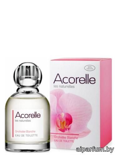 Orchidee Blanche