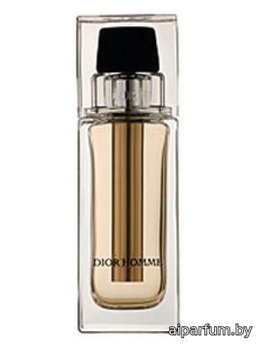 Dior Homme Voyage