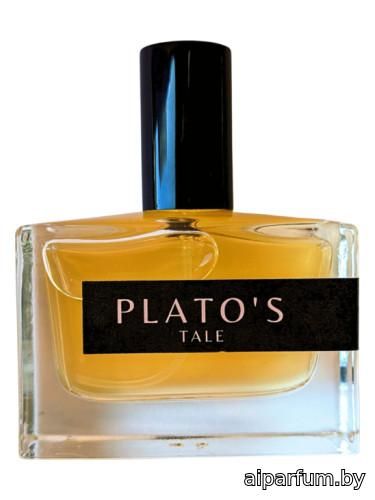Plato's Tale