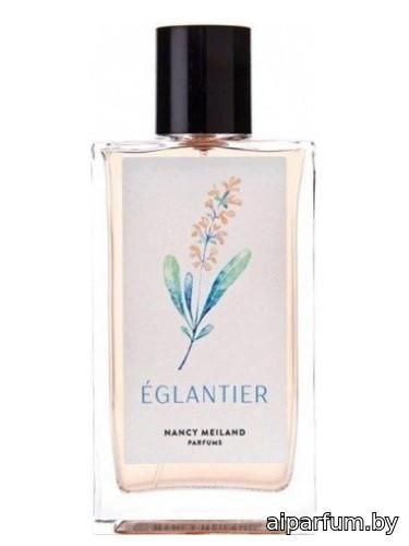 Églantier