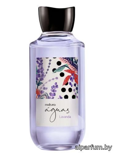 Lavanda