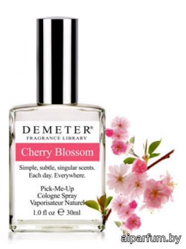 Cherry Blossom