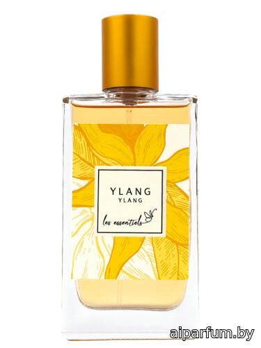 Ylang Ylang