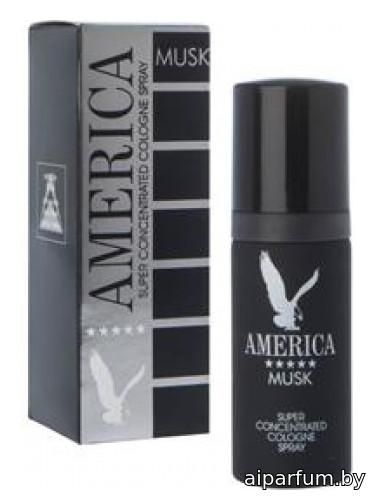 America Musk