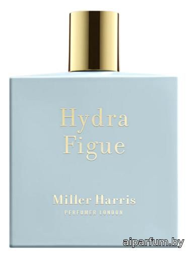 Hydra Figue