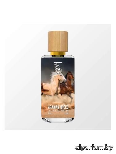 Arabian Breed