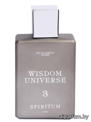 3 Wisdom Universe