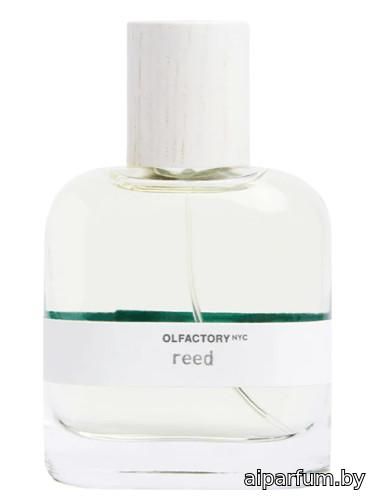 Reed