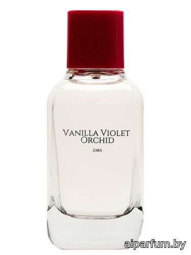 Vanilla Violet Orchid