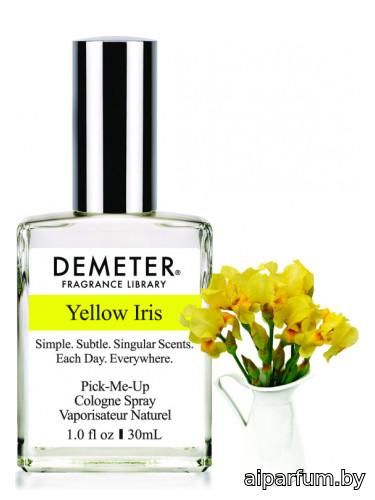 Yellow Iris