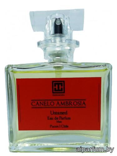 Canelo Ambrosia