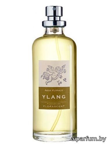 Ylang