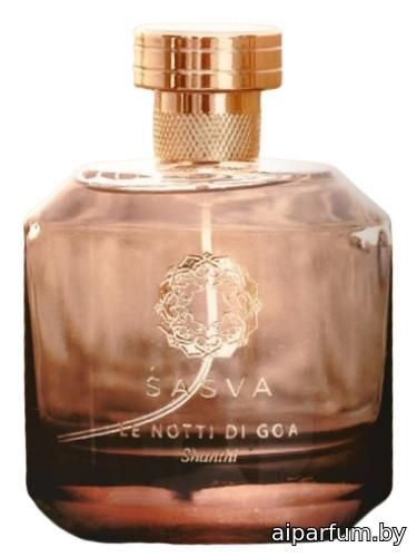Le Notti di Goa - Shanthi