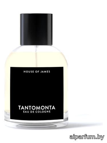 Tantomonta