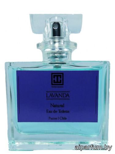 Lavanda