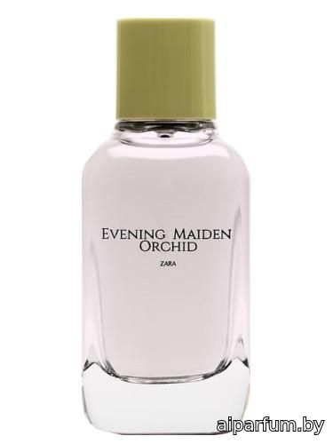 Evening Maiden Orchid