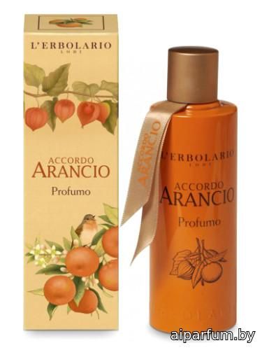 Accordo Arancio