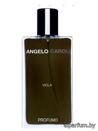 Viola