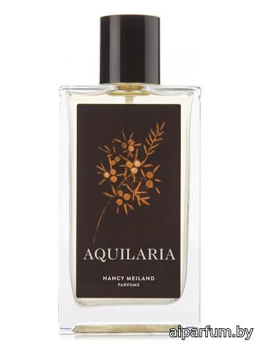 Aquilaria