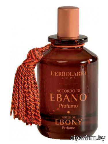 Accordo Di Ebano (Perfume Notes Of Ebony)