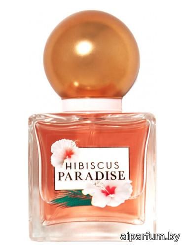 Hibiscus Paradise