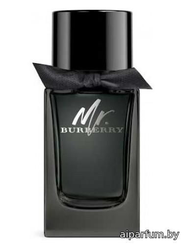 Mr. Burberry Eau de Parfum