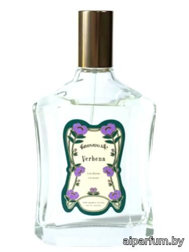 Verbena