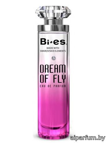 Dream of Fly