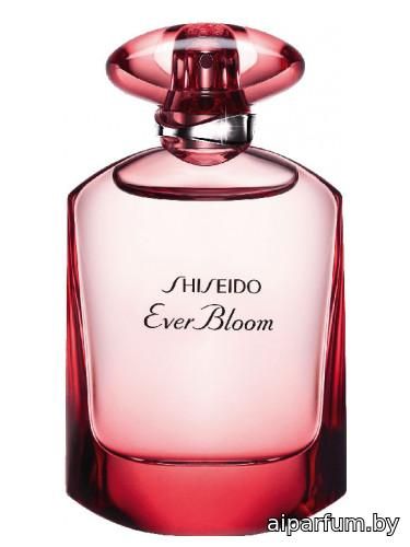 Ever Bloom Ginza Flower