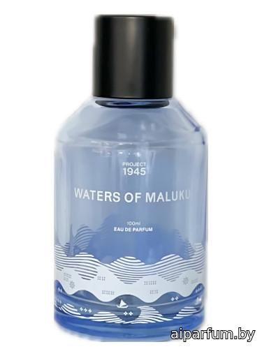 Waters of Maluku