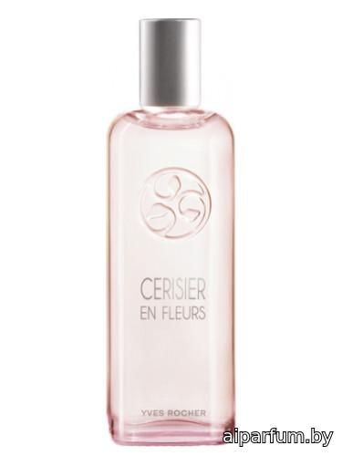 Cerisier en Fleurs