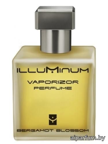 Bergamot Blossom