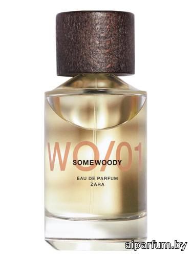 WO/01 Somewoody
