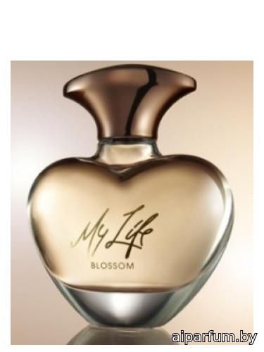 Mary J. Blige My Life Blossom
