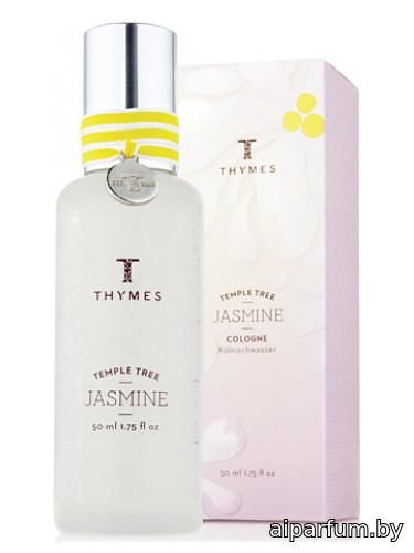 Temple Tree Jasmine