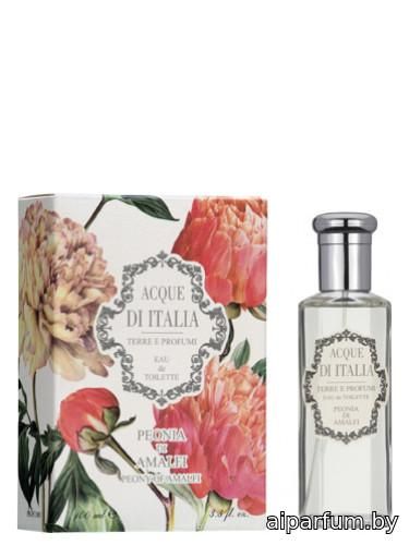 Peonia di Amalfi