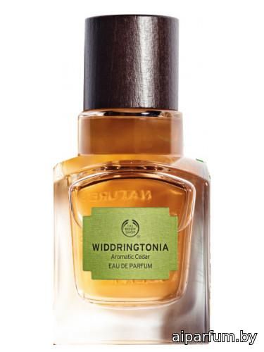 Widdringtonia