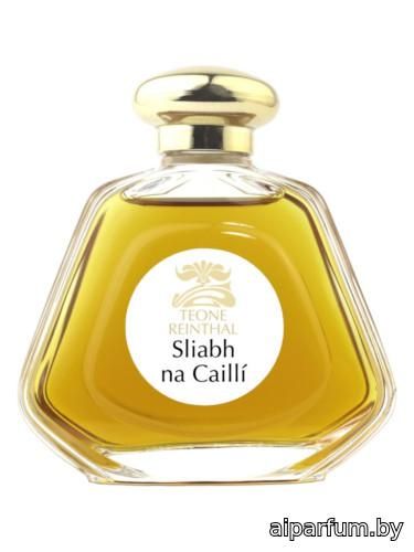 Sliabh na Cailli