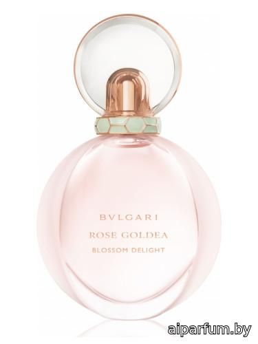 Rose Goldea Blossom Delight
