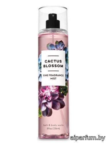 Cactus Blossom