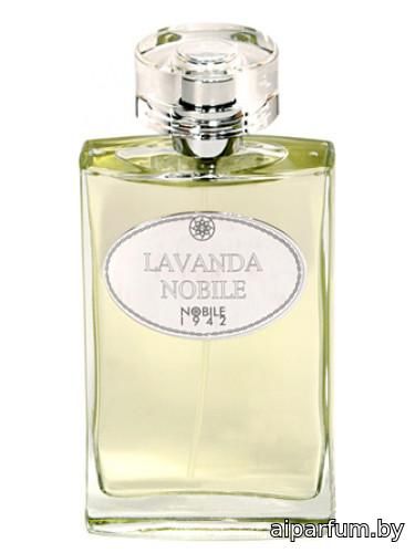 Lavanda Nobile