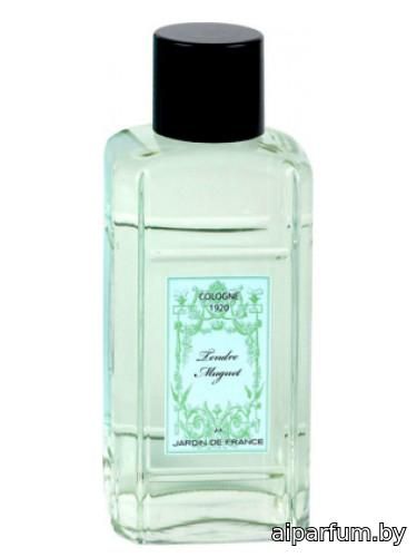 Tendre Muguet