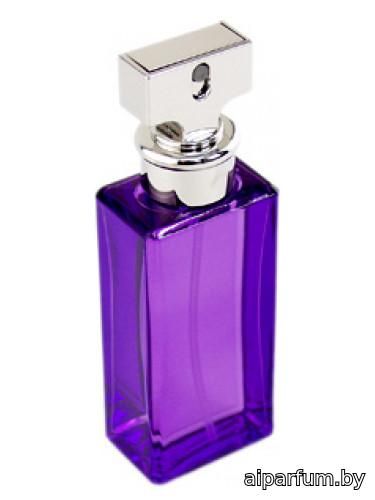 Eternity Purple Orchid