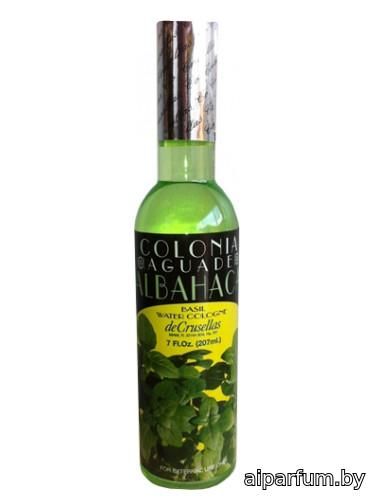 Colonia de Albahaca (Basil)