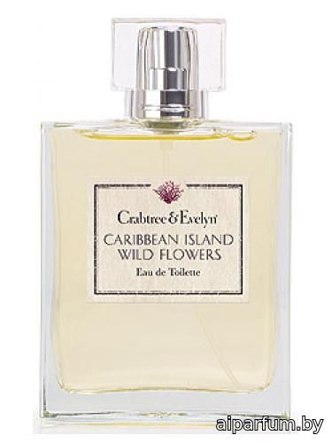Caribbean Island Wild Flowers 