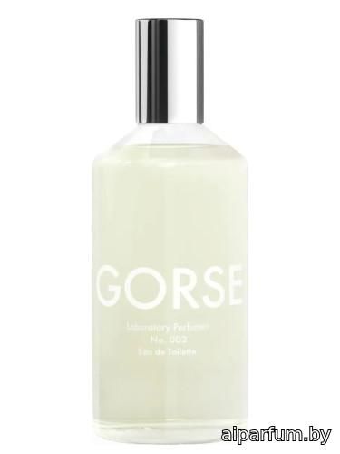 Gorse