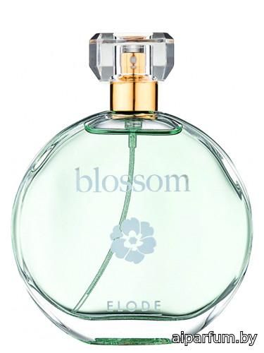 Blossom