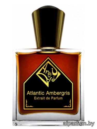 Atlantic Ambergris
